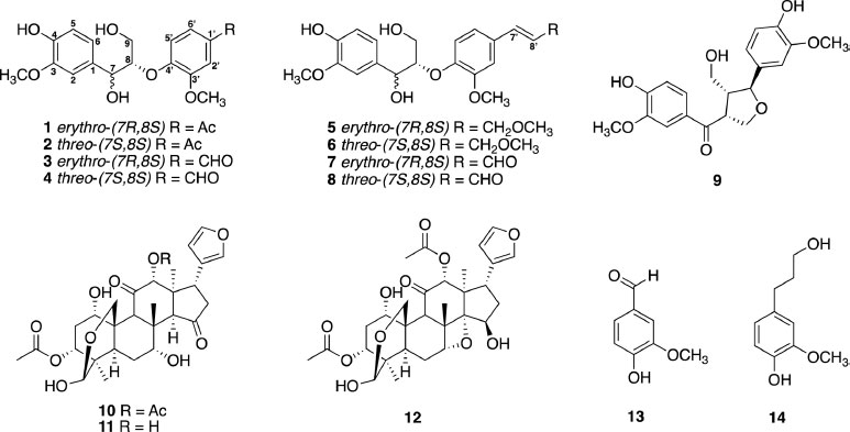 Fig. 1. Fig. 1.