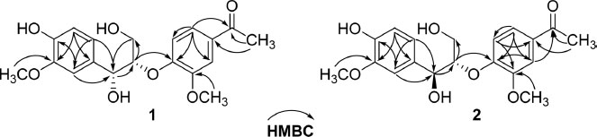 Fig. 2. Fig. 2.