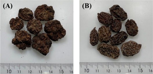 Fig. 1. Fig. 1.