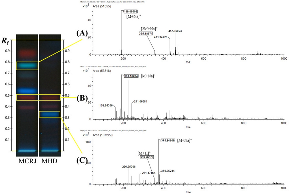 Fig. 4. Fig. 4.