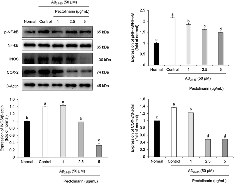 Fig. 4. Fig. 4.