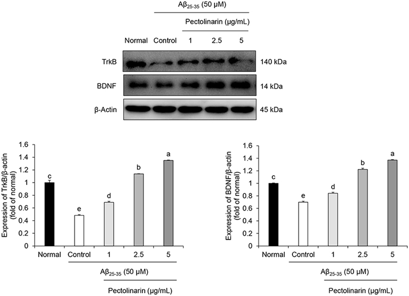 Fig. 6. Fig. 6.
