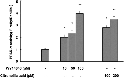 Fig. 1. Fig. 1.