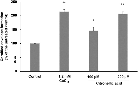 Fig. 2. Fig. 2.