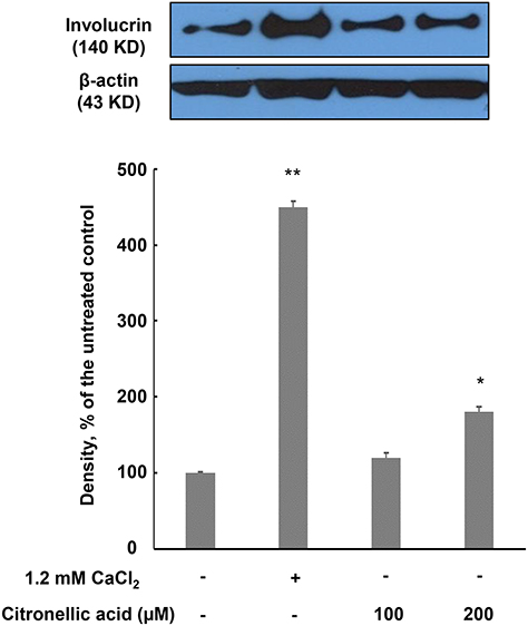 Fig. 3. Fig. 3.
