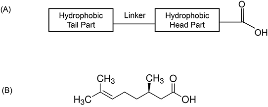 Fig. 7. Fig. 7.