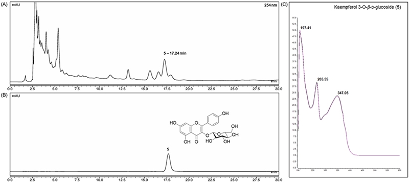 Fig. 2. Fig. 2.