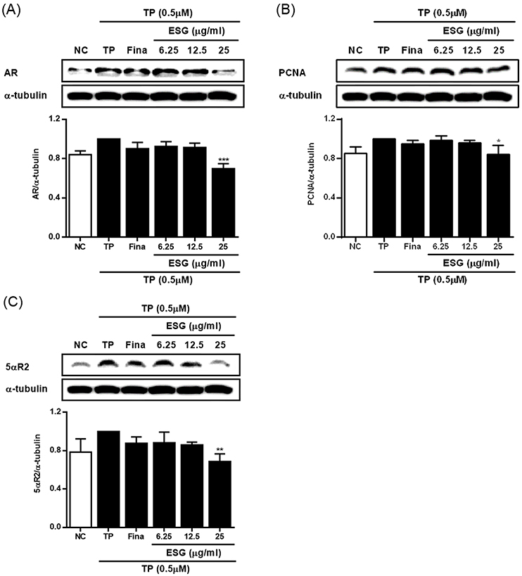 Fig. 4. Fig. 4.