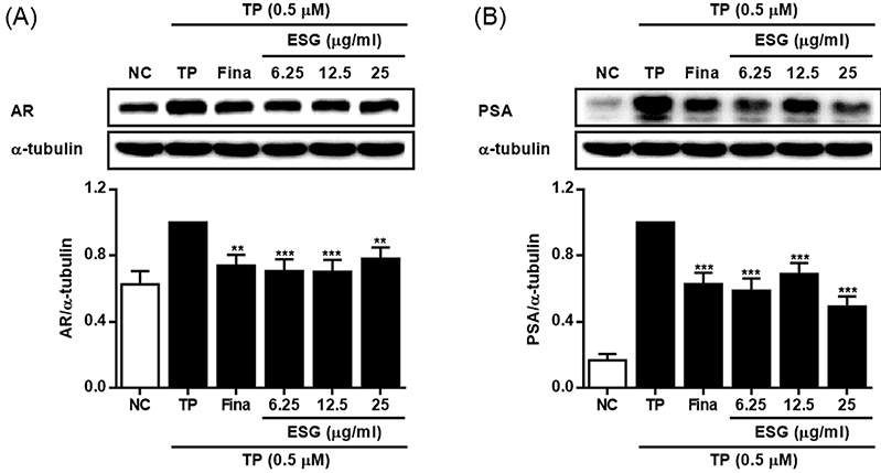 Fig. 5. Fig. 5.