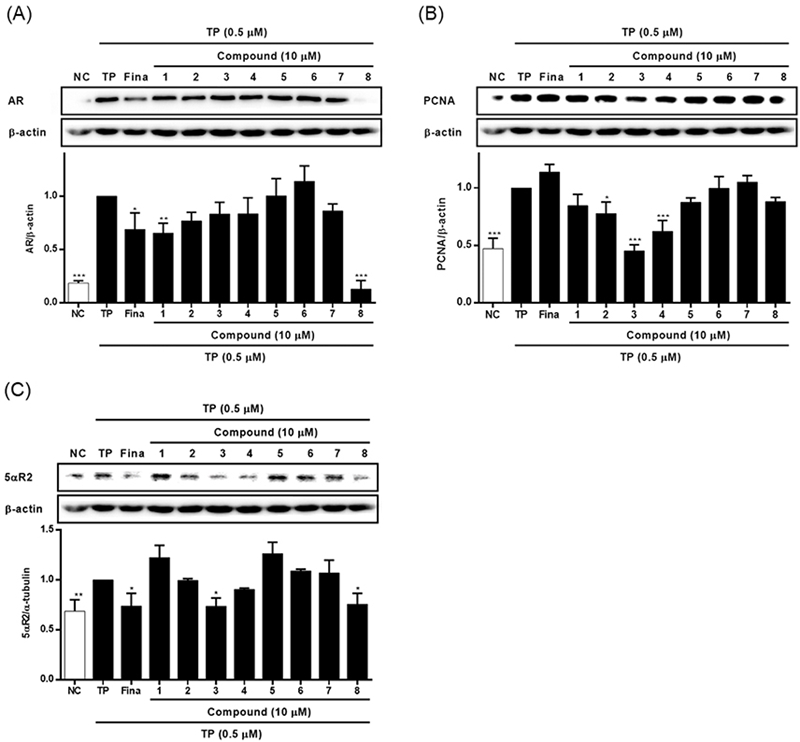 Fig. 7. Fig. 7.