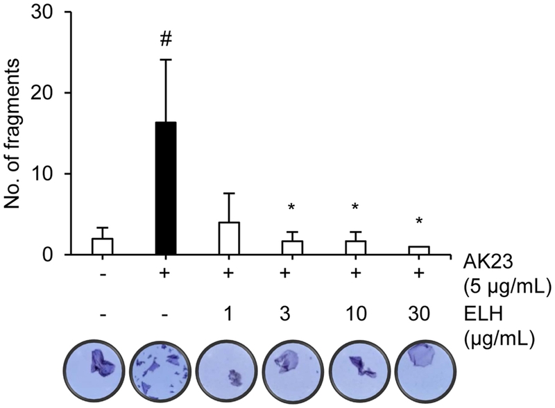 Fig. 4. Fig. 4.