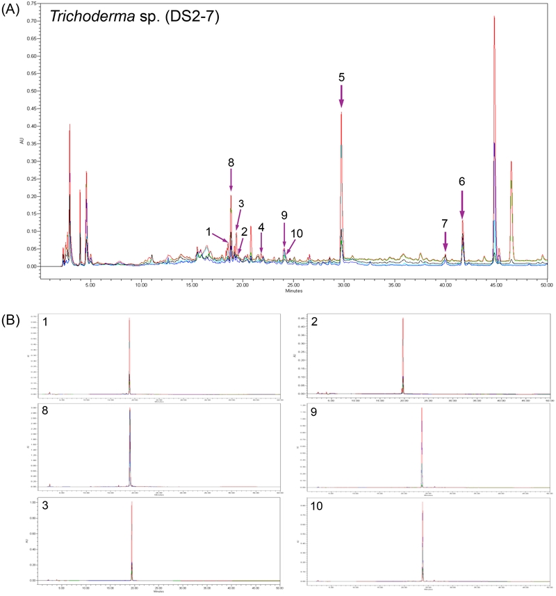 Fig. 2. Fig. 2.