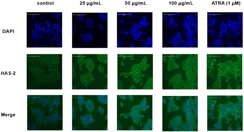Fig. 4. Fig. 4.