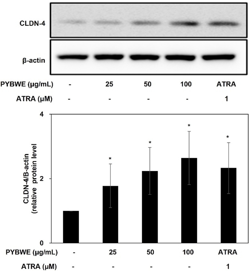 Fig. 9. Fig. 9.