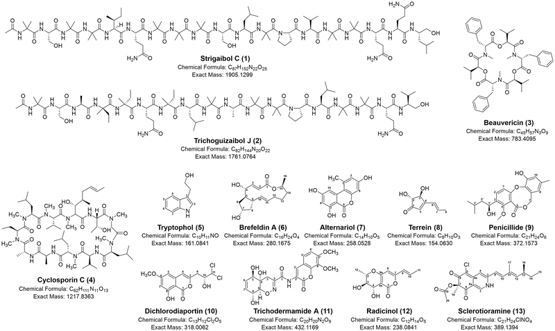 Fig. 2.