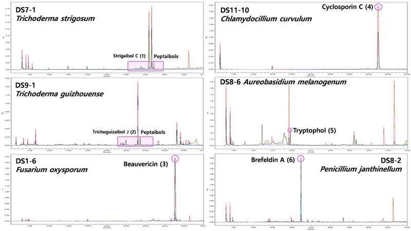 Fig. 3. Fig. 3.