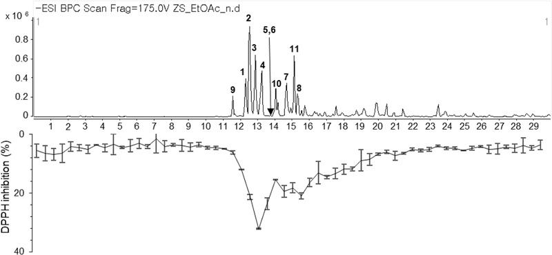 Fig. 2.