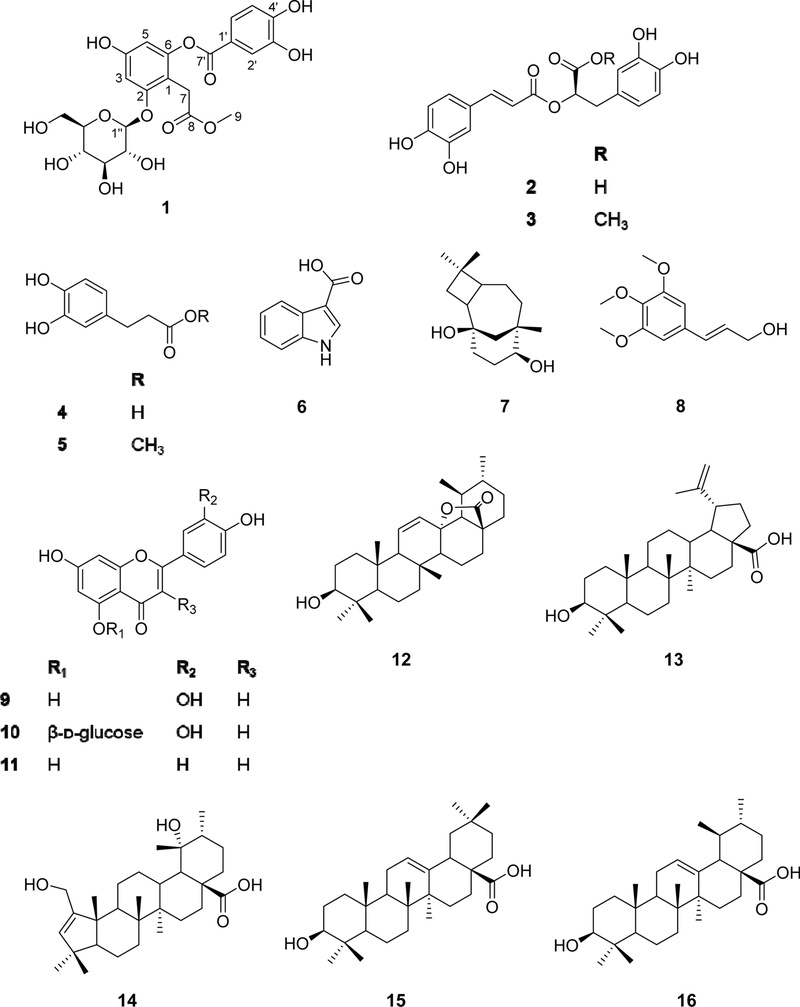 Fig. 1. Fig. 1.