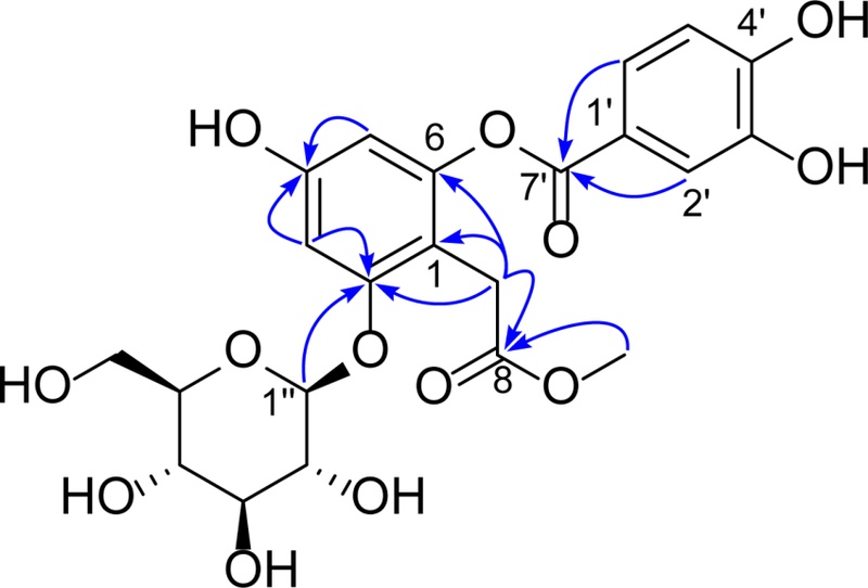 Fig. 2. Fig. 2.