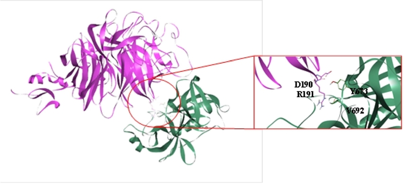 Fig. 5.