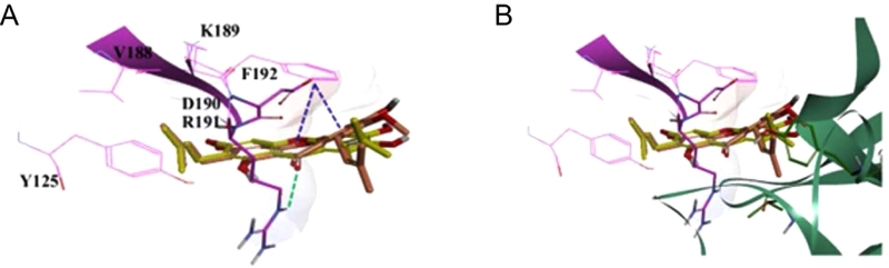Fig. 6.