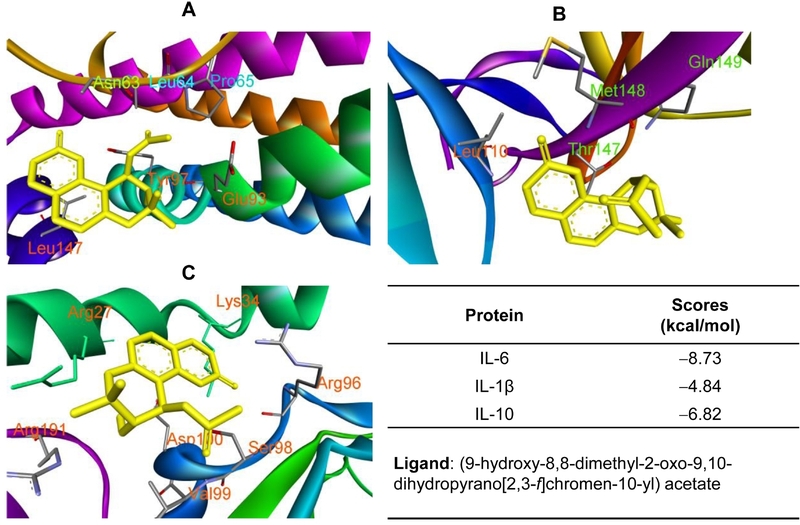 Fig. 10.